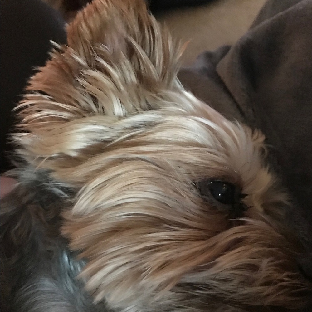 Meet your Posher, Lisa